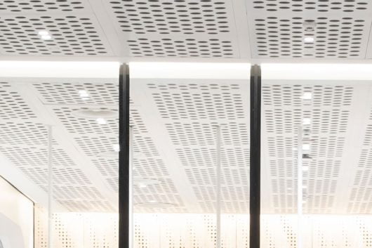 BionIMages (2) Lighting